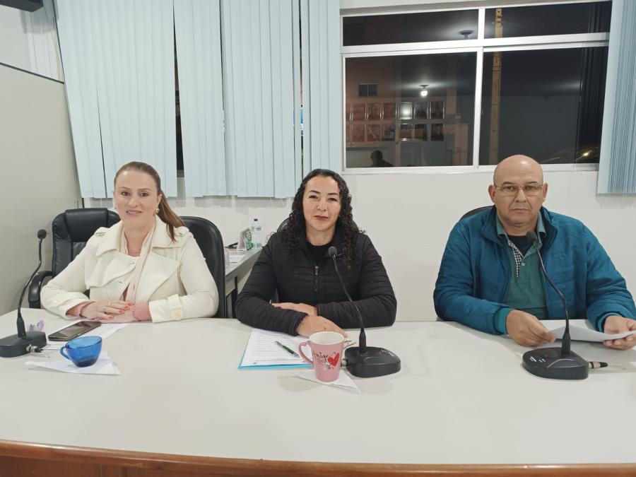 sessão ordinaria 29 05 2025
