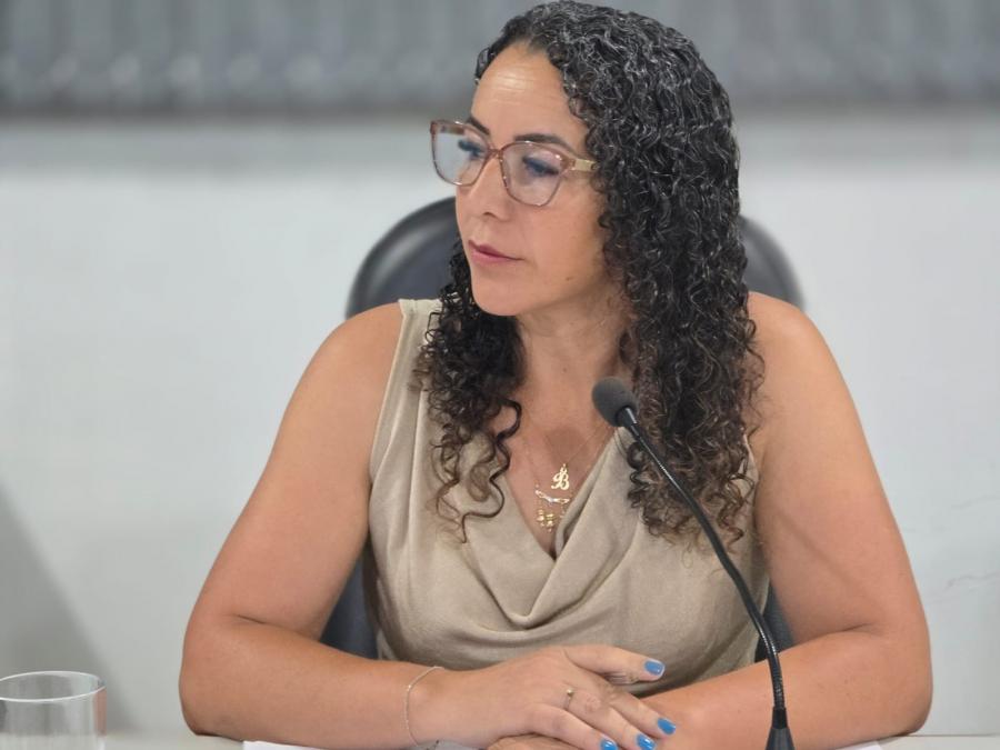 Sessão Ordinária 19 02 2026