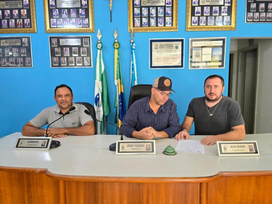comissão de constituição e justiça 