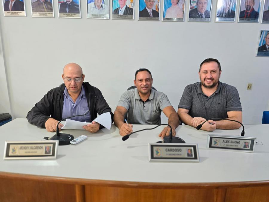 reunião das comissão