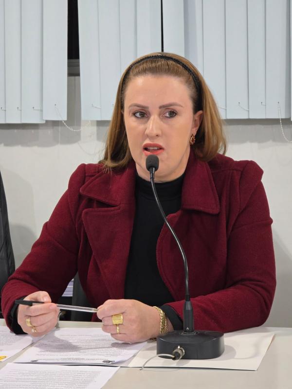 Infraestrutura, ações sociais e sustentabilidade marcam sessão ordinária da Câmara Municipal de Nova Laranjeiras