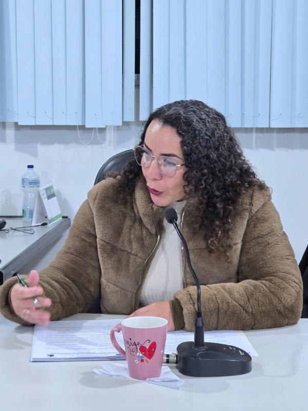 Infraestrutura, ações sociais e sustentabilidade marcam sessão ordinária da Câmara Municipal de Nova Laranjeiras